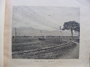 biblioteca 301 copy.jpg